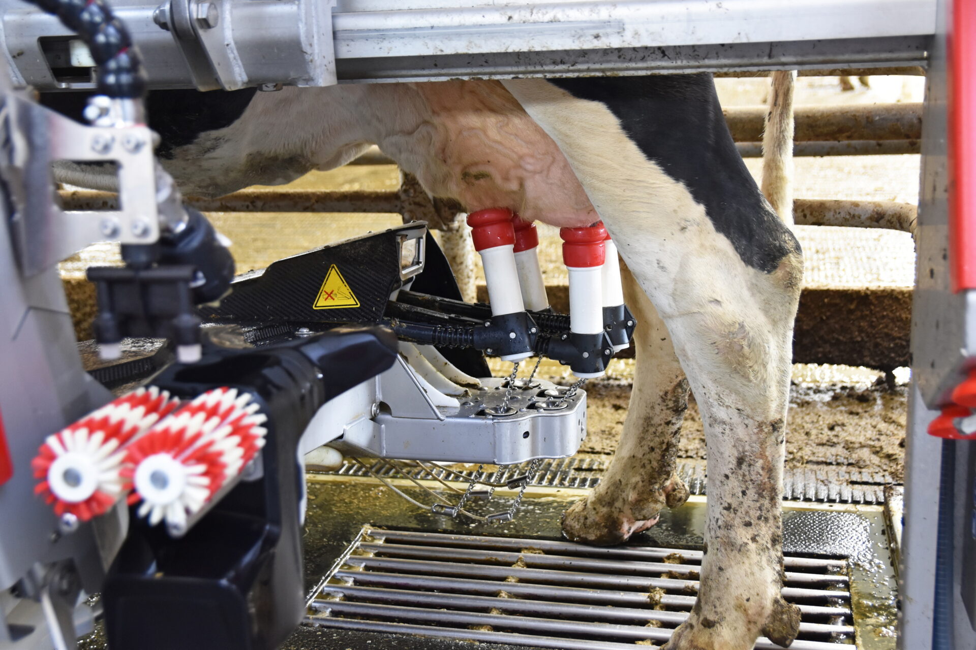 Nieuw Hart Voor Lely A5 Next melkrobot Veehouderij Techniek